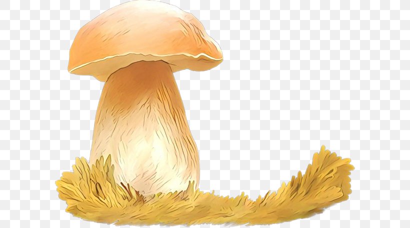 Mushroom Watercolor Painting Design Zhongshan District, Liupanshui, PNG, 600x456px, Mushroom, Agaricaceae, Agaricomycetes, Agaricus, Bwin Interactive Entertainment Ag Download Free