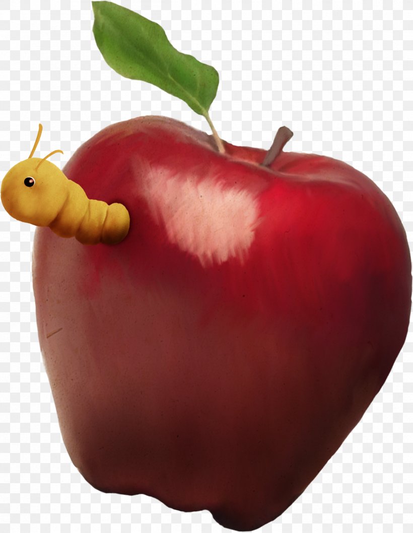 Apple Food Clip Art, PNG, 1315x1699px, Apple, Dia, Diet Food, Food, Fruit Download Free
