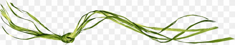 Leaf Grasses Line Angle Body Jewellery, PNG, 1600x307px, Leaf, Body Jewellery, Body Jewelry, Grass, Grass Family Download Free