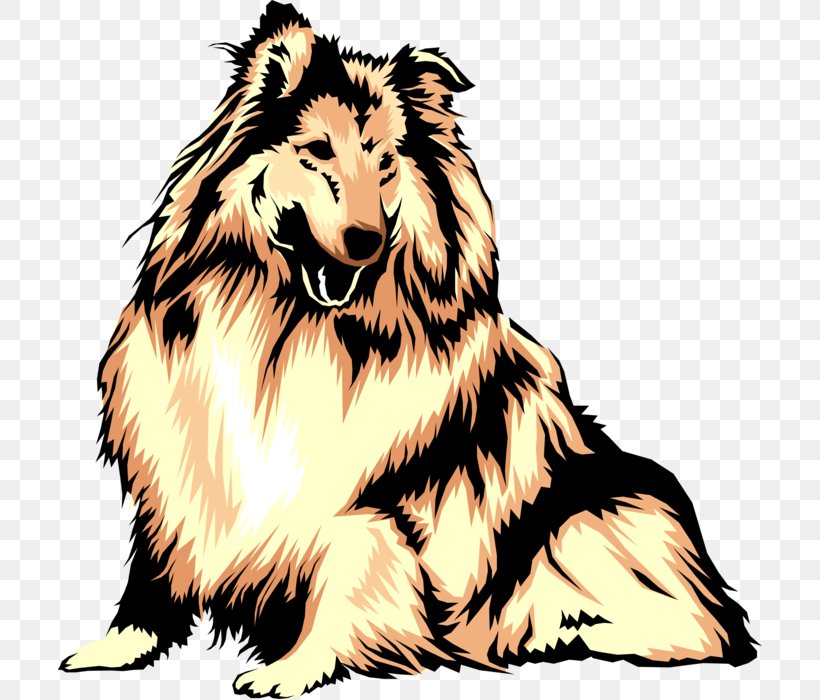 Rough Collie Sheltie Clip Art DogIDs, PNG, 704x700px, Collie, Carnivoran, Dog, Dog Breed, Dog Breed Group Download Free