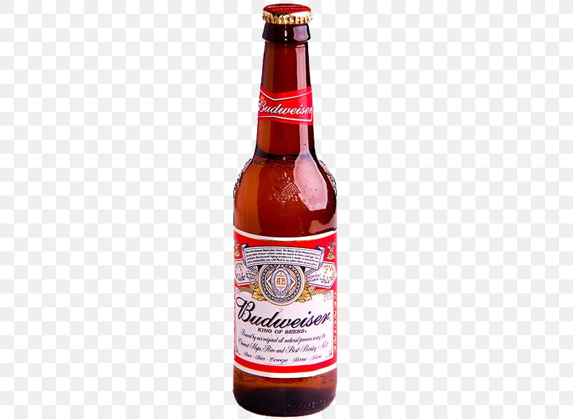 Budweiser Budvar Brewery Ginger Beer Lager, PNG, 436x600px, Budweiser, Alcohol By Volume, Alcoholic Beverage, Alcoholic Drink, Ale Download Free