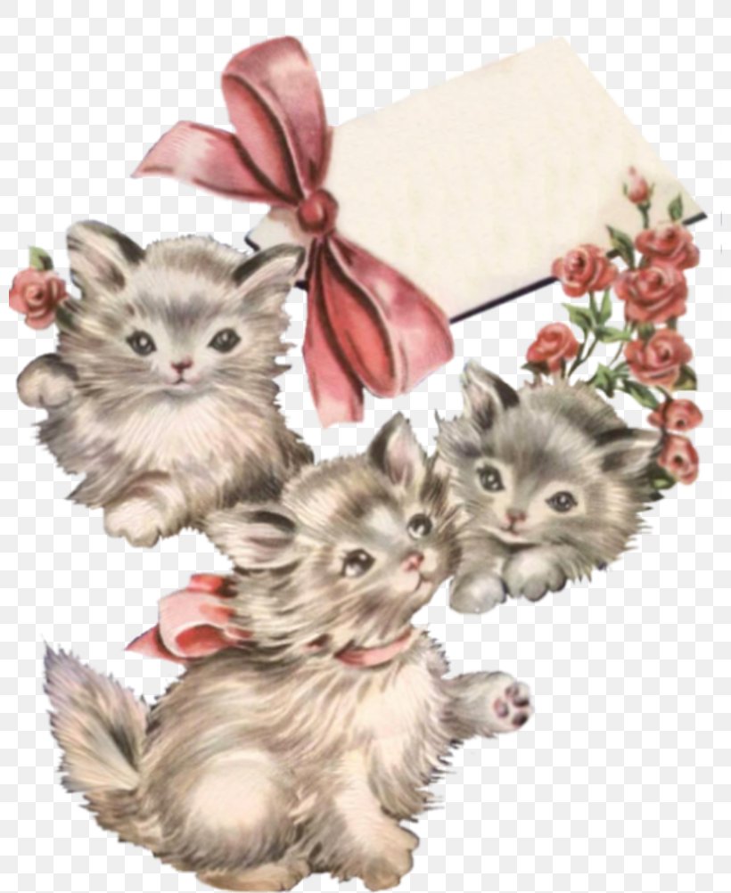 Kitten Whiskers Paw, PNG, 800x1002px, Kitten, Carnivoran, Cat, Cat Like Mammal, Flower Download Free