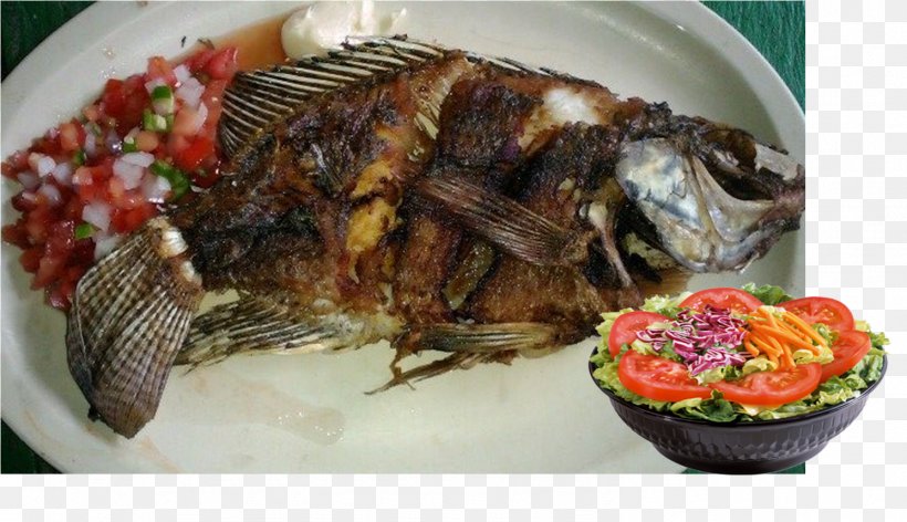 Papaloapan Region Pescado Frito Ikan Bakar Food Tlayuda, PNG, 1491x859px, Pescado Frito, Animal Source Foods, Asian Food, Broth, Cuisine Download Free