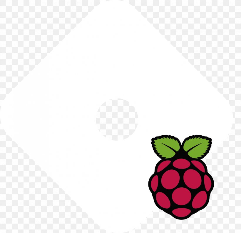 Raspberry Pi Node.js JavaScript Arduino Elektor, PNG, 1245x1204px, Raspberry Pi, Arduino, Computer Servers, Computer Software, Debian Download Free