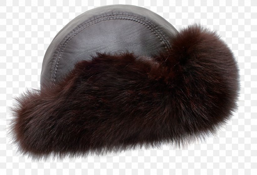 Fur Snout, PNG, 1772x1212px, Fur, Fur Clothing, Furcap, Snout Download Free