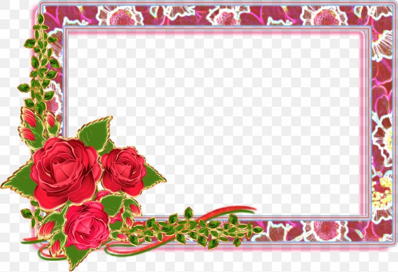 Garden Roses Picture Frames Paper, PNG, 2081x1425px, Garden Roses, Cut Flowers, Floral Design, Floristry, Flower Download Free