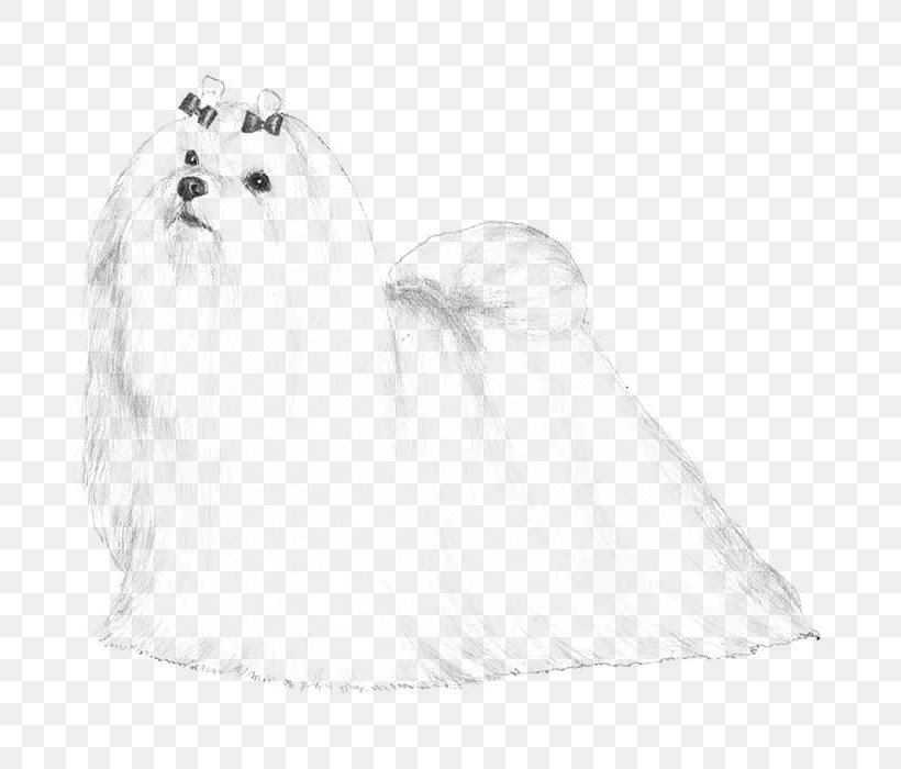 Maltese Dog West Highland White Terrier Puppy Dog Breed Companion Dog, PNG, 700x700px, Maltese Dog, Bichon, Bichon Frise, Black And White, Carnivoran Download Free