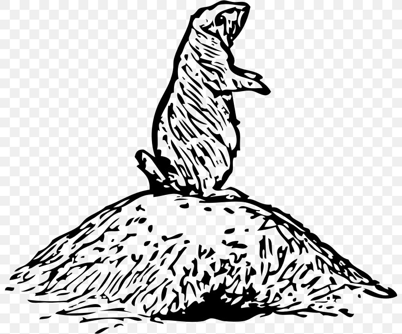 Beagle Basset Hound Drawing Prairie Clip Art, PNG, 800x682px, Beagle, Animal, Animal Figure, Art, Artwork Download Free