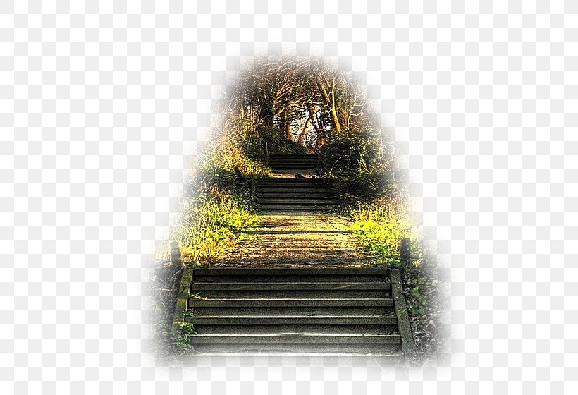 Painting Wall Stairs, PNG, 590x560px, Painting, Autumn, Blog, Grass, Http Cookie Download Free