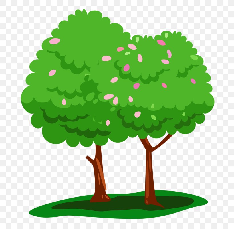 Vector Graphics Tree Image Animation, PNG, 717x800px, Tree, Animation, Cartoon, Drawing, Grass Download Free