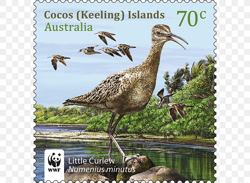 Postage Stamps Australia Mail Rubber Stamp Stamp Collecting, PNG, 800x600px, Postage Stamps, Advertising, Australia, Australia Post, Beak Download Free