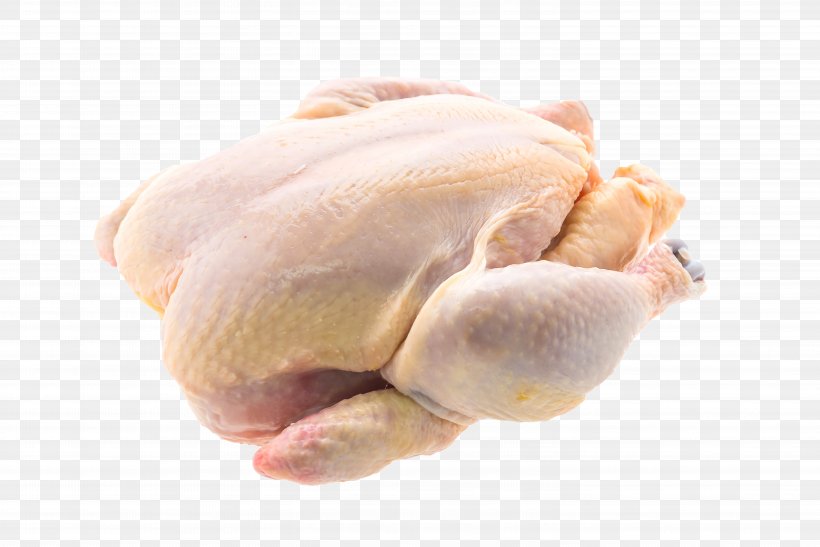 Chicken Meat Poultry Food, PNG, 6016x4016px, Chicken, Animal Fat, Animal Source Foods, Chicken Breast, Chicken Meat Download Free