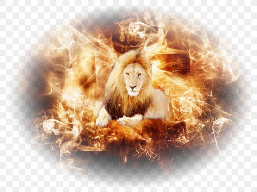 Desktop Wallpaper Fire Roar Flame Image, PNG, 1600x1200px, 1610, Fire, Animal, Big Cats, Carnivoran Download Free