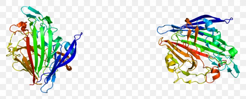 Galactose Mutarotase Aldose 1-epimerase Protein, PNG, 1017x410px, Watercolor, Cartoon, Flower, Frame, Heart Download Free