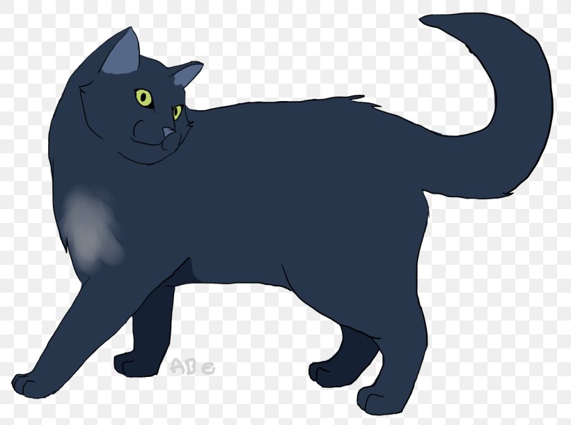 Korat Kitten Black Cat Whiskers Domestic Short-haired Cat, PNG, 800x610px, Korat, American Bobtail, Animation, Black Cat, Black M Download Free