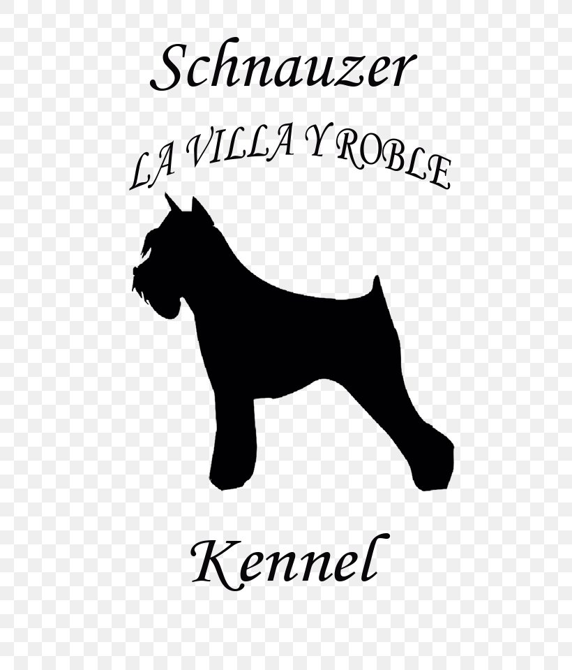 Miniature Schnauzer Dog Breed Bichon Frise Airedale Terrier, PNG, 800x960px, Miniature Schnauzer, Airedale Terrier, Area, Bichon, Bichon Frise Download Free
