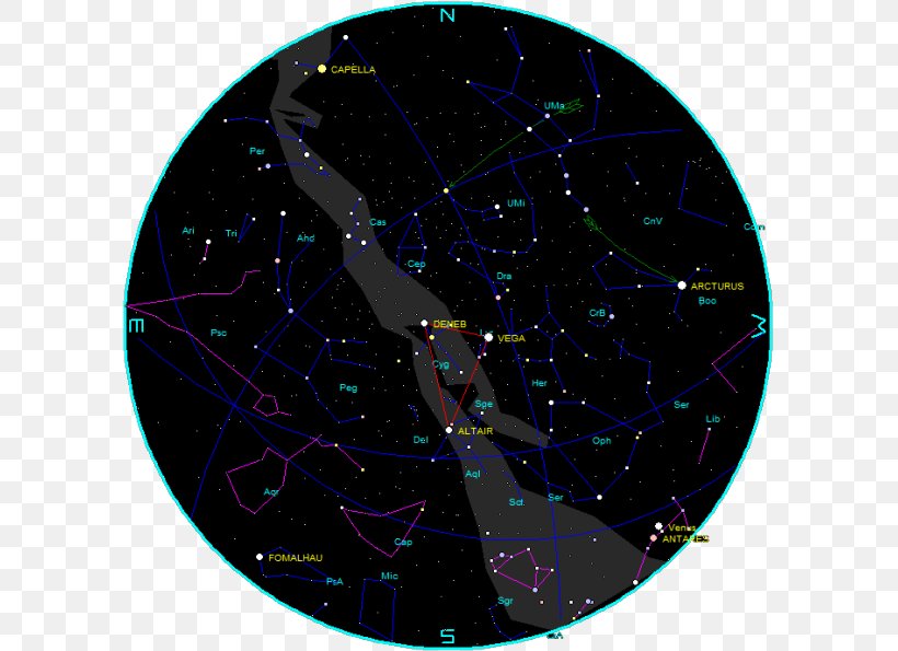 Night Sky Constellation Star Chart Orion Astronomy, PNG, 595x595px, Night Sky, Astronomy, Canis Major, Constellation, Organism Download Free