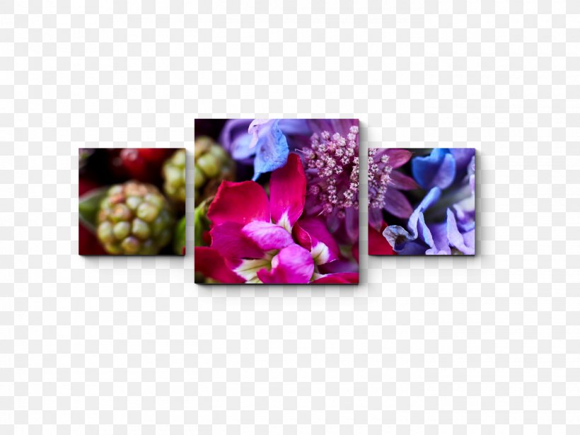 Petal Purple Rectangle, PNG, 1400x1050px, Petal, Flower, Lilac, Magenta, Purple Download Free