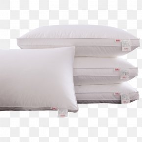 broeden vasteland Dierentuin s nachts Pillow Down Feather Bed Frame Duvet Mattress, PNG, 1024x683px, Pillow, Bed,  Bed Frame, Bed Sheet, Bed Sheets Download Free