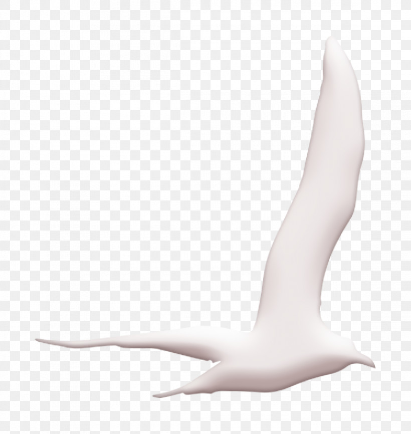 Bird Icon Gull Bird Flying Shape Icon Animal Kingdom Icon, PNG, 1162x1228px, Bird Icon, Animal Kingdom Icon, Animals Icon, Black, Hand Download Free