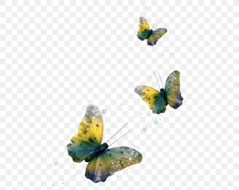 Butterfly, PNG, 489x651px, Butterfly, Animation, Arthropod, Brush Footed Butterfly, Butterflies And Moths Download Free
