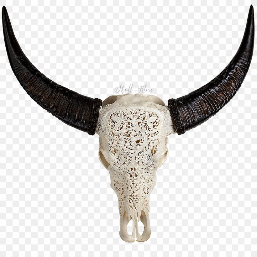 Horn American Bison Human Skull Symbolism Buffalo, PNG, 1000x1000px, Horn, American Bison, Bison, Bone, Buffalo Download Free