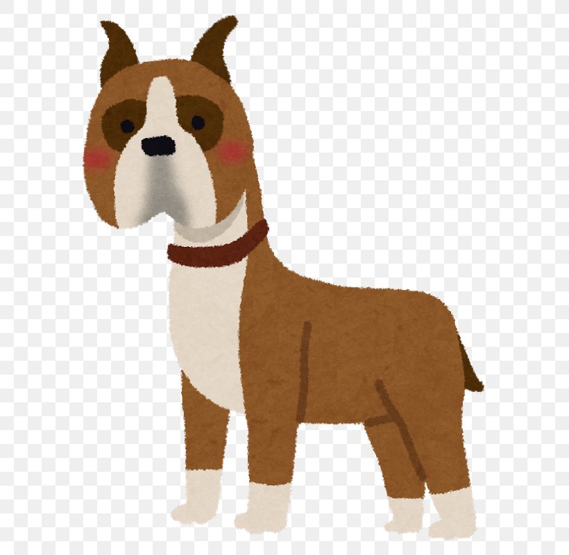 Dog Breed Boxer Non-sporting Group Breed Group (dog) Snout, PNG, 659x800px, Dog Breed, Bookmark, Boxer, Breed, Breed Group Dog Download Free