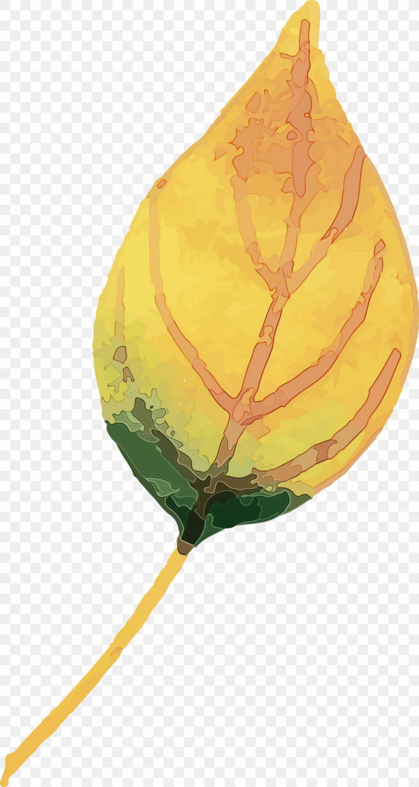 Leaf Fruit Biology Plants Science, PNG, 1599x3000px, Watercolor Autumn, Biology, Fruit, Leaf, Paint Download Free