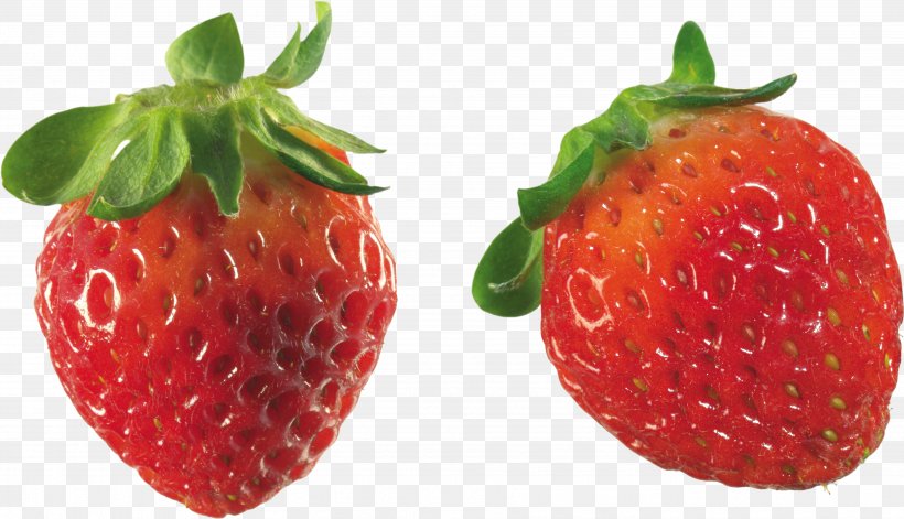 Aedmaasikas Strawberry Fruit Clip Art, PNG, 3878x2231px, Aedmaasikas, Accessory Fruit, Auglis, Berry, Computer Software Download Free