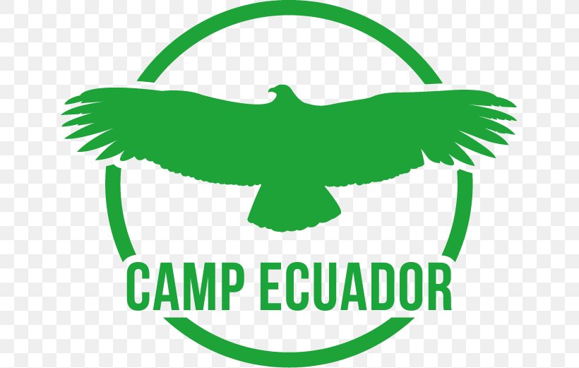 Amazon Rainforest Camps International Camp Ecuador Volunteering Fundraising, PNG, 647x521px, Amazon Rainforest, Andes, Area, Artwork, Beak Download Free