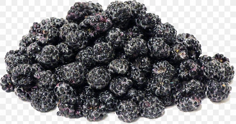 Frutti Di Bosco Boysenberry Black Mulberry Black Raspberry, PNG, 872x458px, Frutti Di Bosco, Berry, Black Mulberry, Black Raspberry, Blackberry Download Free