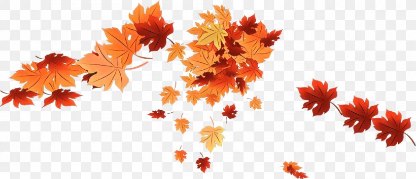 Maple Leaf, PNG, 1280x554px, Cartoon, Autumn, Deciduous, Flower, Leaf Download Free