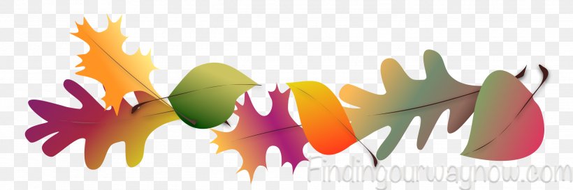 Autumn Leaf Color Autumn Leaf Color Thanksgiving Equinox, PNG, 2699x899px, Autumn, Autumn Leaf Color, Equinox, Flower, Leaf Download Free