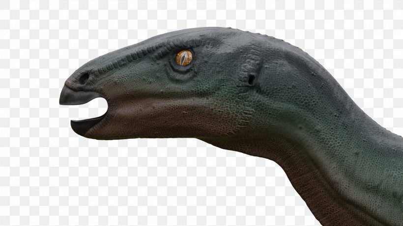 Camptosaurus Dinosaur Geological Period Product Jurassic, PNG, 1920x1080px, Camptosaurus, Beak, Dinosaur, Geological Period, Jurassic Download Free