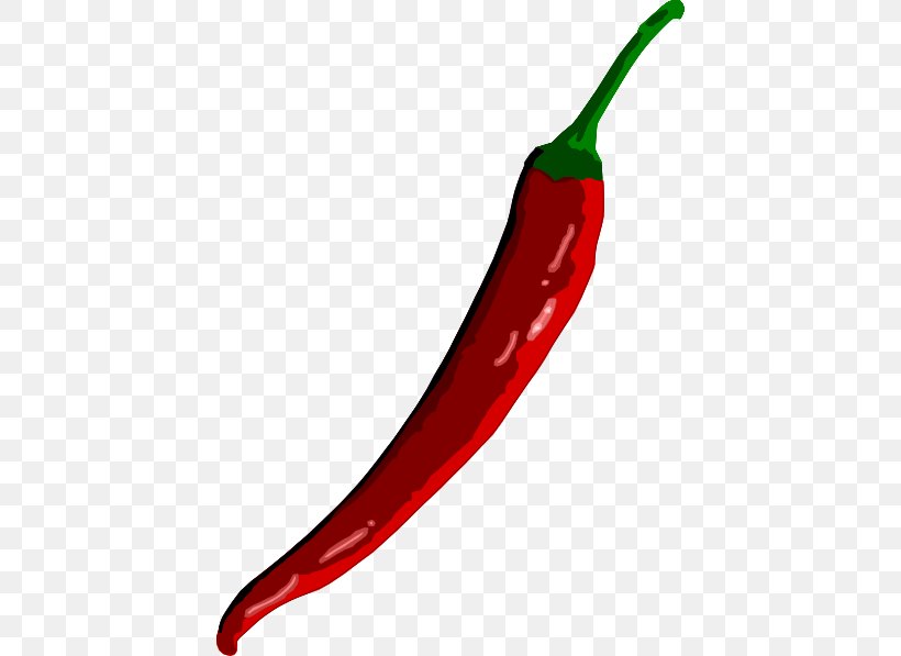 Chili Con Carne Chili Pepper Bell Pepper Cayenne Pepper, PNG, 426x597px, Chili Con Carne, Bell Pepper, Bell Peppers And Chili Peppers, Bird S Eye Chili, Black Pepper Download Free