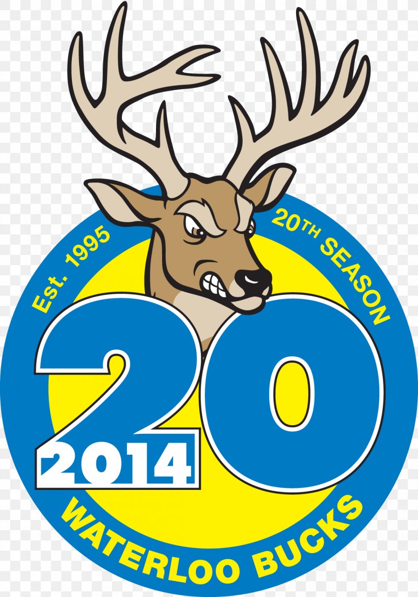 Deer Waterloo Bucks Antler Clip Art, PNG, 1163x1661px, Deer, Antler, Area, Artwork, Logo Download Free