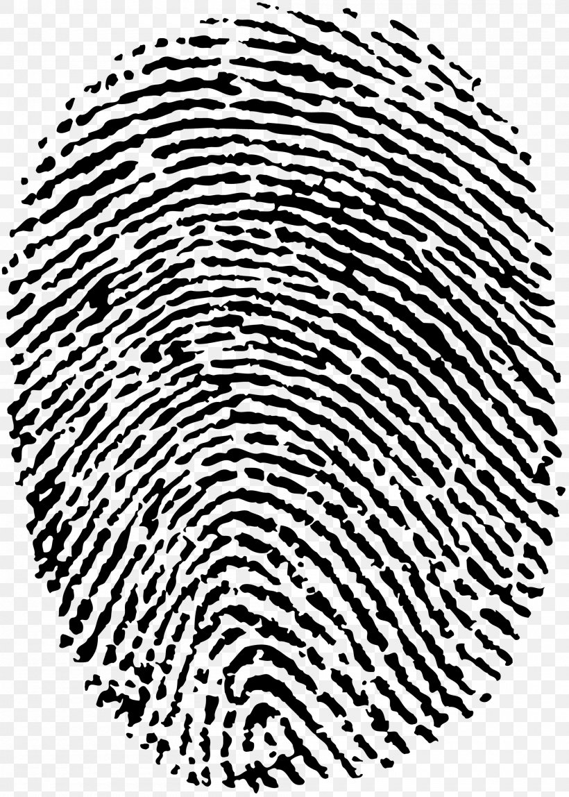 Fingerprint Dactiloscopie Digit Dermatoglyphics Fingerabdruckscanner, PNG, 2000x2800px, Fingerprint, Area, Black, Black And White, Dactiloscopie Download Free