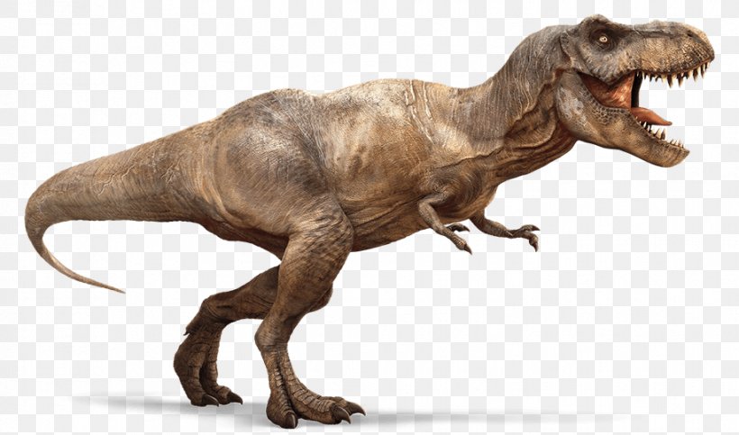 Tyrannosaurus Ian Malcolm Dinosaur Alectrosaurus Ankylosaurus, PNG, 915x540px, Tyrannosaurus, Animatronics, Carnivore, Coelurosauria, Cretaceous Download Free
