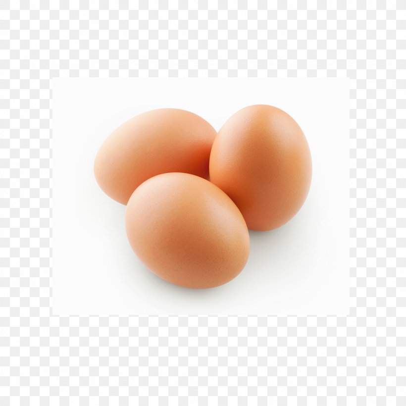 Chicken Soup Bakery Egg Poultry, PNG, 1024x1024px, Chicken, Bakery, Blt, Bread, Business Download Free