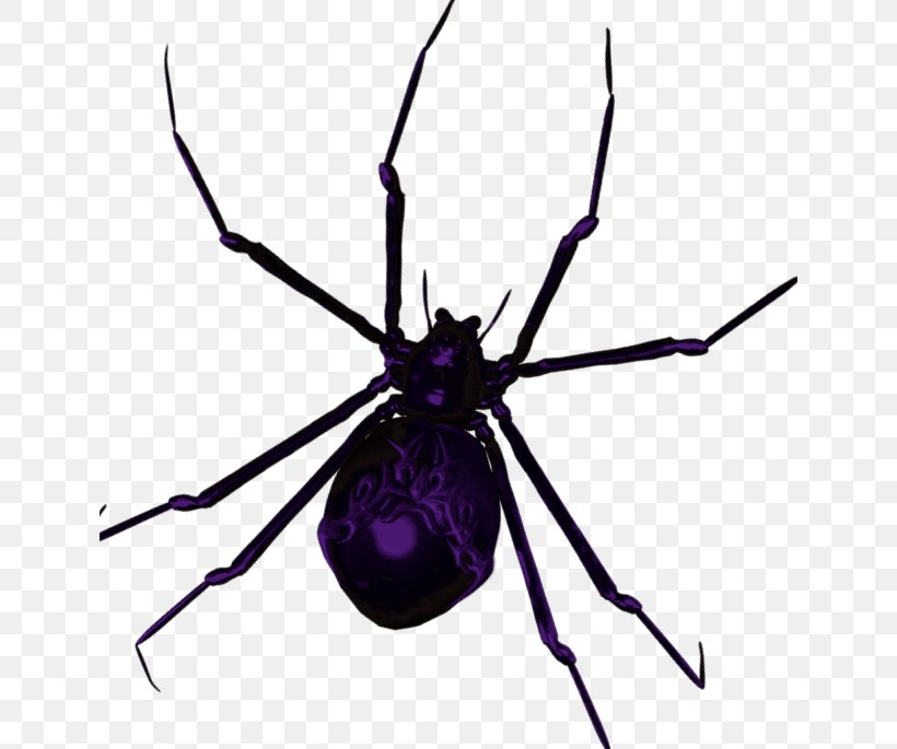 Widow Spiders STX G.1800E.J.M.V.U.NR YN Angie Clip Art, PNG, 638x685px, Widow Spiders, Angie, Animated Film, Arachnid, Arthropod Download Free