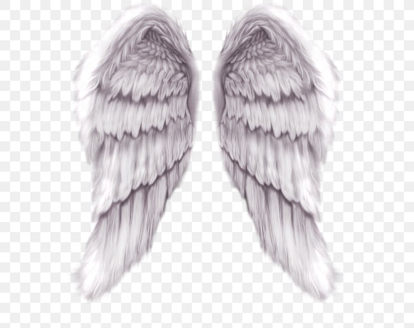 Wing Angel Color, PNG, 594x650px, Wing, Angel, Art, Color, Fairy Download Free