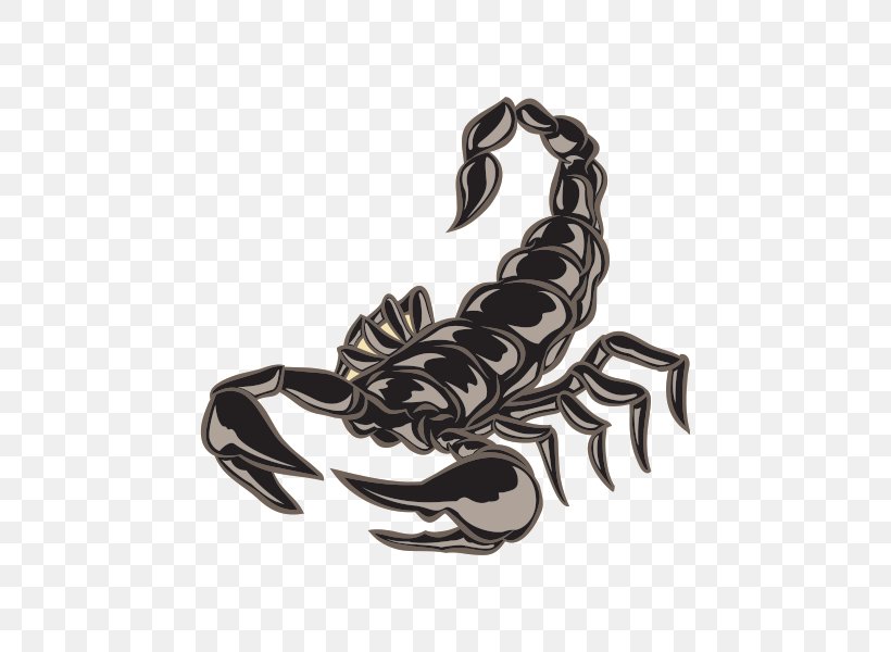Scorpion Lobster Decapoda Homarus Crab, PNG, 600x600px, Scorpion, Arachnid, Claw, Crab, Decapoda Download Free