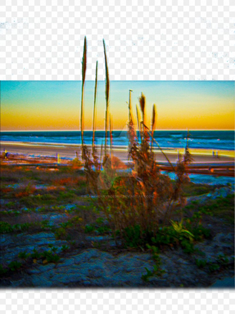 Shore Sea Beach Dune Coast, PNG, 900x1200px, Shore, Art, Beach, Calm, Coast Download Free