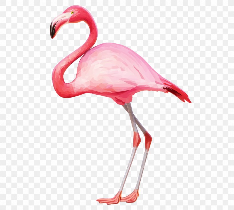 Flamingo Clip Art, PNG, 1185x1064px, Flamingo, Beak, Bird, Drawing, Neck Download Free