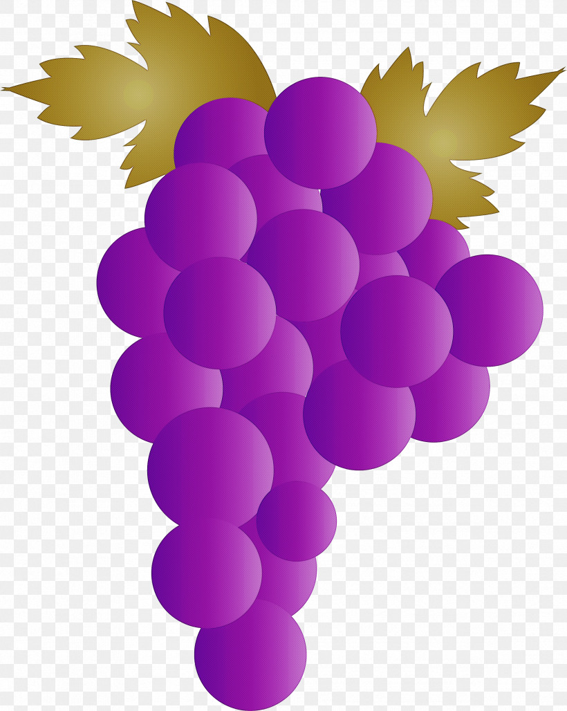 Grape Wine Zante Currant Juice Grape Leaves, PNG, 2391x3000px, Grape, Blackcurrant, Fruit, Fruit Wine, Grape Leaves Download Free