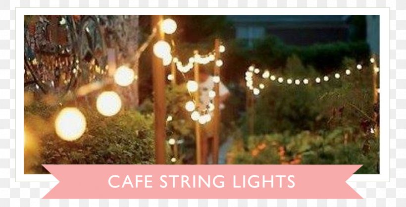 Landscape Lighting Backyard Street Light, PNG, 900x459px, Light, Backyard, Ceremony, Christmas, Christmas Decoration Download Free