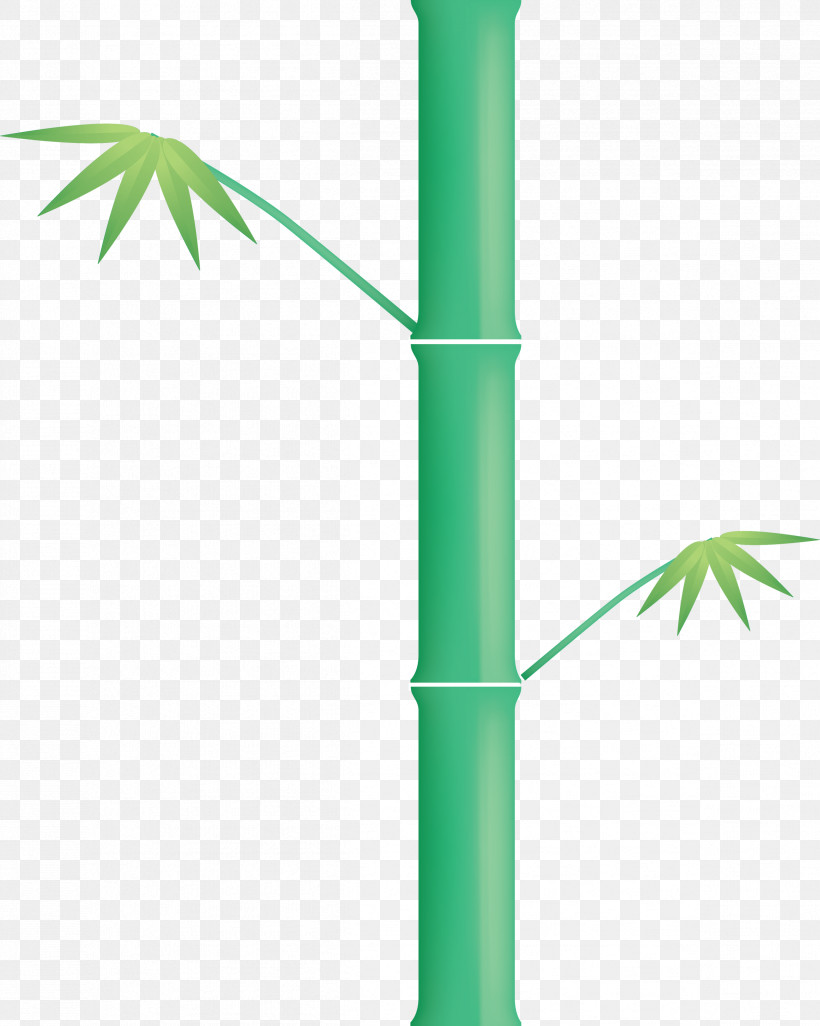 Bamboo Leaf, PNG, 2397x3000px, Bamboo, Green, Hemp Family, Leaf, Plant Download Free