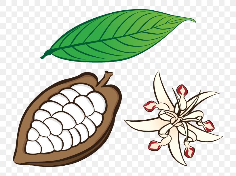 Clip Art Cacao Tree Drawing Flower Image, PNG, 792x612px, Cacao Tree, Artwork, Chocolate, Commodity, Drawing Download Free