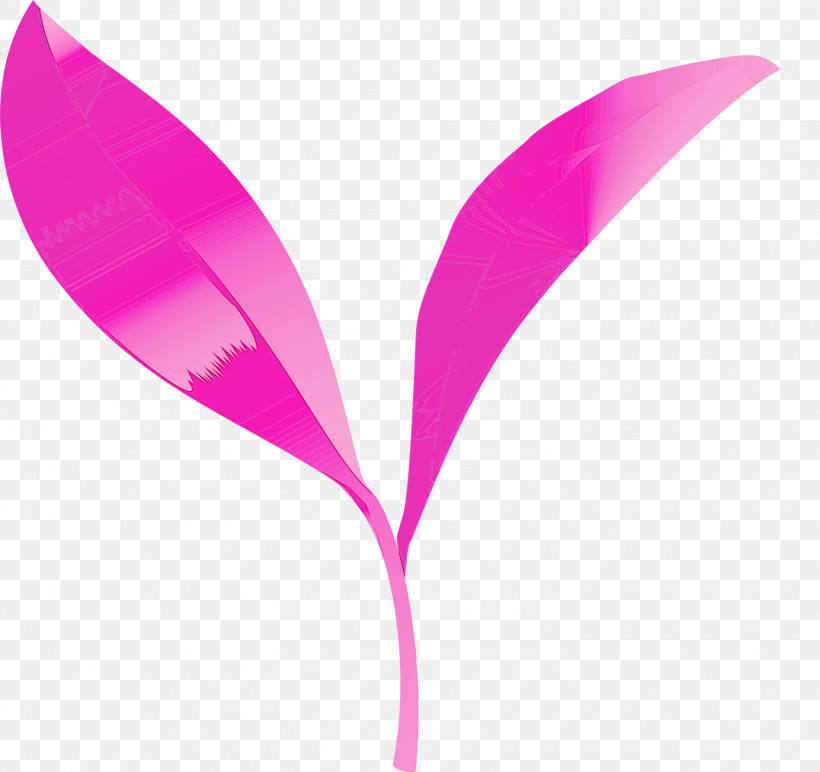 Feather, PNG, 3000x2825px, Tea Leaves, Feather, Flower, Leaf, Magenta Download Free