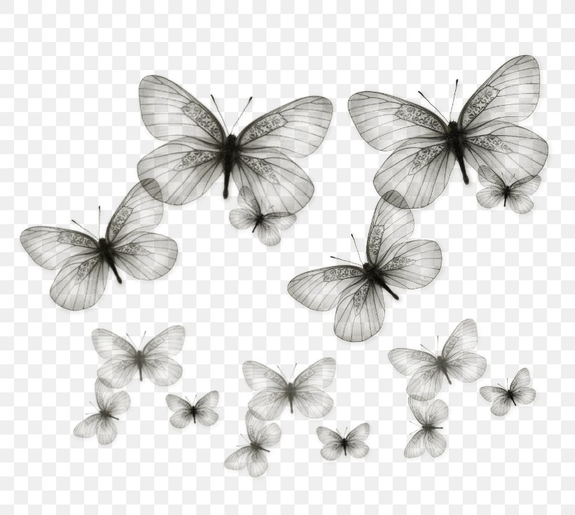 Butterfly Clip Art, PNG, 804x735px, Butterfly, Art, Black And White, Brush Footed Butterfly, Insect Download Free